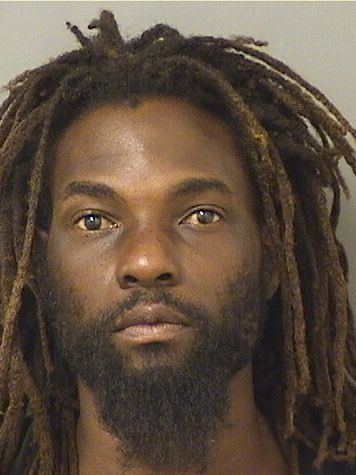  DAVID WILLIAM JACKSON Results from Palm Beach County Florida for  DAVID WILLIAM JACKSON