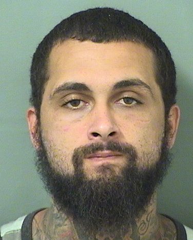  NICHOLAS J FALZONE Results from Palm Beach County Florida for  NICHOLAS J FALZONE