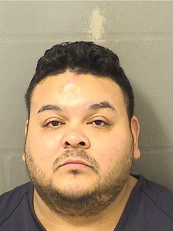  OSVALDO R RUBIOLEDEZMA Results from Palm Beach County Florida for  OSVALDO R RUBIOLEDEZMA