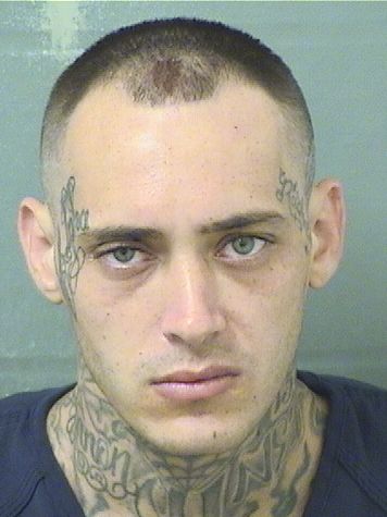  AARON DONALD CLARK Results from Palm Beach County Florida for  AARON DONALD CLARK