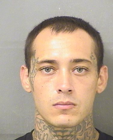  AARON DONALD CLARK Results from Palm Beach County Florida for  AARON DONALD CLARK