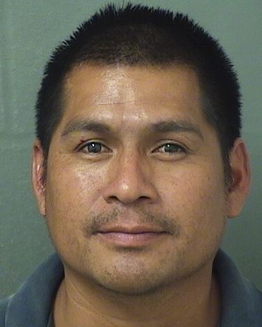  JOSE ISRAEL DIAZHERNANDEZ Results from Palm Beach County Florida for  JOSE ISRAEL DIAZHERNANDEZ