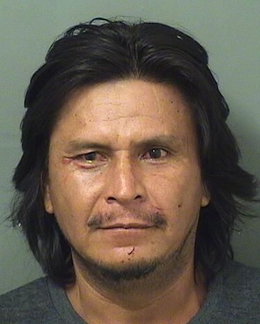  BENITO MARTINEZ Results from Palm Beach County Florida for  BENITO MARTINEZ