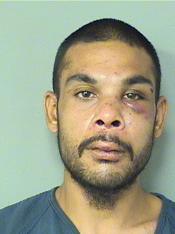  CHRISTOPHER ALLEN LEE Results from Palm Beach County Florida for  CHRISTOPHER ALLEN LEE