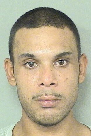  CHRISTOPHER A LEE Resultados de la busqueda para Palm Beach County Florida para  CHRISTOPHER A LEE