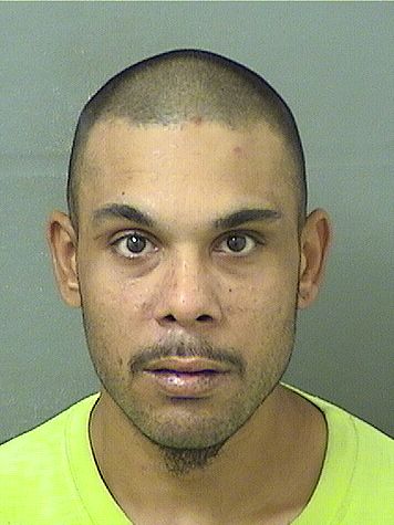  CHRISTOPHER ALLEN LEE Results from Palm Beach County Florida for  CHRISTOPHER ALLEN LEE