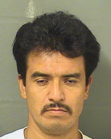  HECTOR MORALES Photo