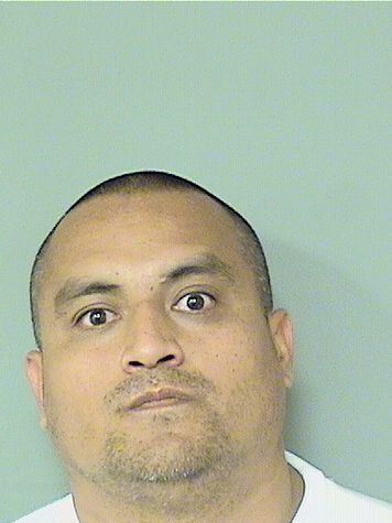 JOSE SAUCEDO Photo JOSE SAUCEDO Photo