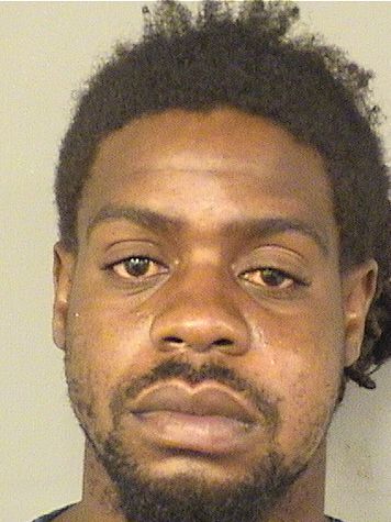  ROBERT WILLIAMS Results from Palm Beach County Florida for  ROBERT WILLIAMS