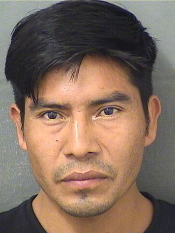  DANIEL C GOMEZSANTIZ Results from Palm Beach County Florida for  DANIEL C GOMEZSANTIZ