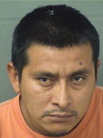 JULIO MORALESXIRUM Results from Palm Beach County Florida for JULIO MORALESXIRUM JULIO MORALESXIRUM Results from Palm Beach County Florida for JULIO MORALESXIRUM