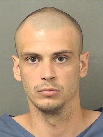  NIKKO ALBANESE Photo For  NIKKO ALBANESE