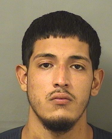  MARK ANTHONY NUNEZ Results from Palm Beach County Florida for  MARK ANTHONY NUNEZ