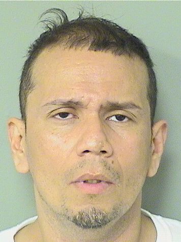  JOSE LUIS RODRIGUEZ Results from Palm Beach County Florida for  JOSE LUIS RODRIGUEZ