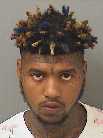  MICHAEL ANTHONY 2 GREEN Results from Palm Beach County Florida for  MICHAEL ANTHONY 2 GREEN