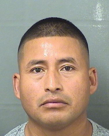  HECTOR LEONEL MORALESLOPEZ Results from Palm Beach County Florida for  HECTOR LEONEL MORALESLOPEZ