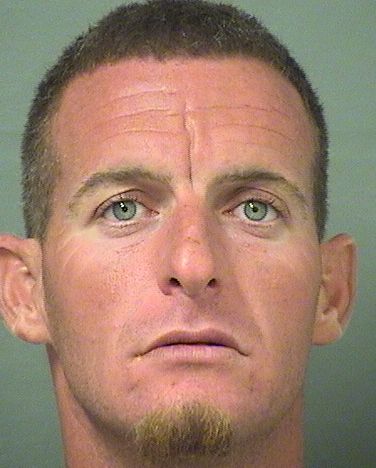  WILLIAM NYLE DAVIS Results from Palm Beach County Florida for  WILLIAM NYLE DAVIS