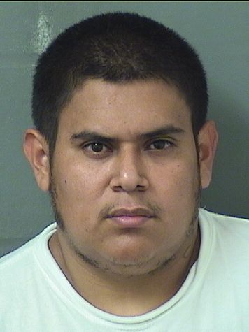  DAMASO PINEDA Results from Palm Beach County Florida for  DAMASO PINEDA