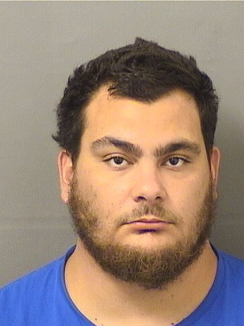  CARLOS A GONZALEZRODRIGUEZ Results from Palm Beach County Florida for  CARLOS A GONZALEZRODRIGUEZ