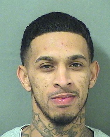  CARLOS JUNIOR MONTES Results from Palm Beach County Florida for  CARLOS JUNIOR MONTES