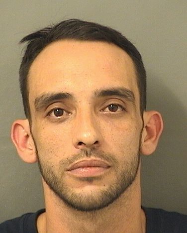  LUIS ANTHONY Jr LATORRE Results from Palm Beach County Florida for  LUIS ANTHONY Jr LATORRE