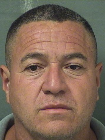  HELDER V CERNA Results from Palm Beach County Florida for  HELDER V CERNA