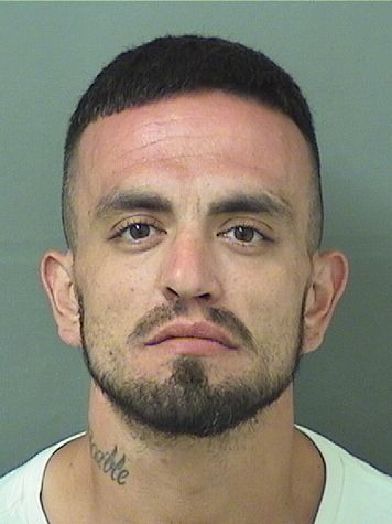  JOHN KRISTOPHER HAULOTTE Results from Palm Beach County Florida for  JOHN KRISTOPHER HAULOTTE