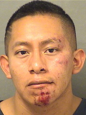  RICARDO MARGARITO JUAN Resultados de la busqueda para Palm Beach County Florida para  RICARDO MARGARITO JUAN