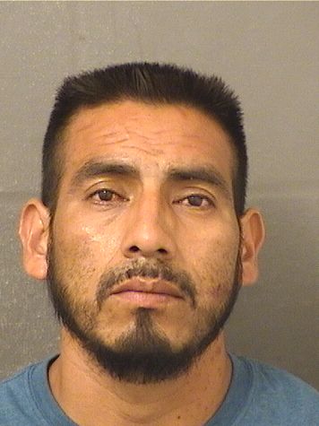  ARTURO GAMALIEL MATEOMATEO Results from Palm Beach County Florida for  ARTURO GAMALIEL MATEOMATEO