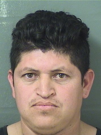  JOSE ORLANDO UMANAFUENTES Results from Palm Beach County Florida for  JOSE ORLANDO UMANAFUENTES