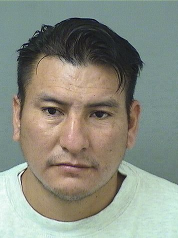  JOSE LUIS TOMASLOPEZ Photo For  JOSE LUIS TOMASLOPEZ