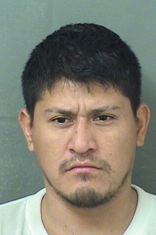  EVER GUDIEL MONTEJO-MORALES Resultados de la busqueda para Palm Beach County Florida para  EVER GUDIEL MONTEJO-MORALES