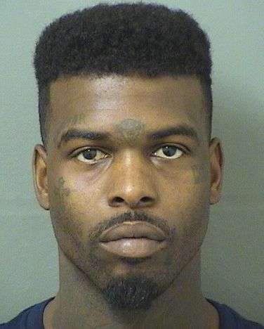  KEVIN DESHAWN GIBSON Results from Palm Beach County Florida for  KEVIN DESHAWN GIBSON