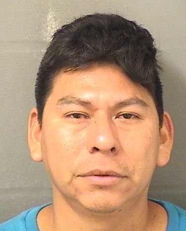  PEDRO VASQUEZ Results from Palm Beach County Florida for  PEDRO VASQUEZ