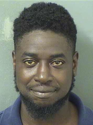  DION GEORGE BOSWELL Results from Palm Beach County Florida for  DION GEORGE BOSWELL