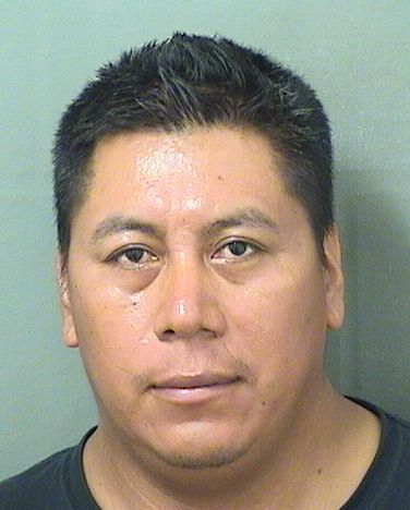  FELIX F JIMENEZCLEMENTE Resultados de la busqueda para Palm Beach County Florida para  FELIX F JIMENEZCLEMENTE