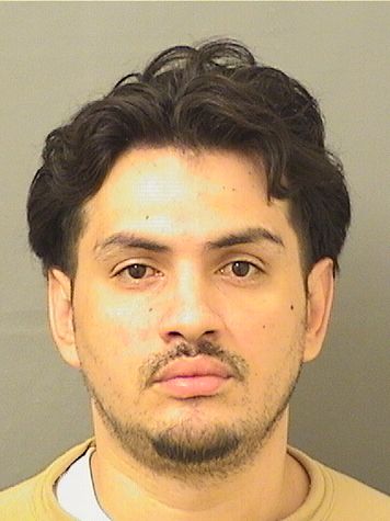  MOISES EDUARDO BRAND Results from Palm Beach County Florida for  MOISES EDUARDO BRAND