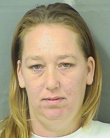  DANIELLE R ROSKA Results from Palm Beach County Florida for  DANIELLE R ROSKA