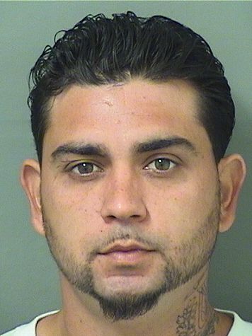  LOUIS MEJIA Results from Palm Beach County Florida for  LOUIS MEJIA