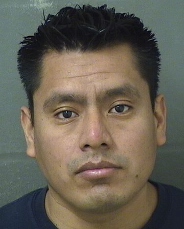  JUAN MATULVASQUEZ Results from Palm Beach County Florida for  JUAN MATULVASQUEZ