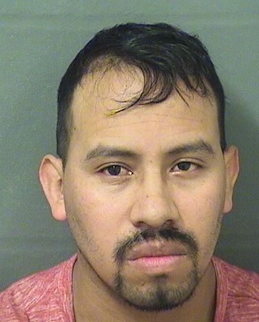  GERARDO M BARRIOS Results from Palm Beach County Florida for  GERARDO M BARRIOS