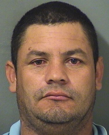  WILMER T DIAZ Resultados de la busqueda para Palm Beach County Florida para  WILMER T DIAZ