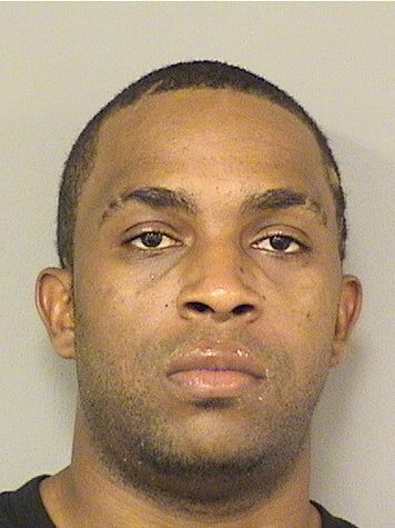  THEODORE HENRY Results from Palm Beach County Florida for  THEODORE HENRY