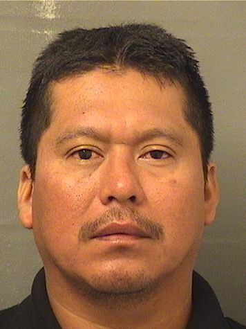  UBALDO M REYESMENDEZ Results from Palm Beach County Florida for  UBALDO M REYESMENDEZ