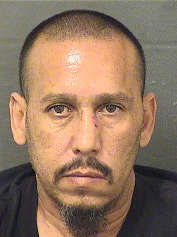  ANTHONY FORGAS Resultados de la busqueda para Palm Beach County Florida para  ANTHONY FORGAS