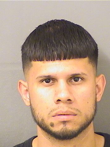  CLOTILDE ORTIZ Results from Palm Beach County Florida for  CLOTILDE ORTIZ