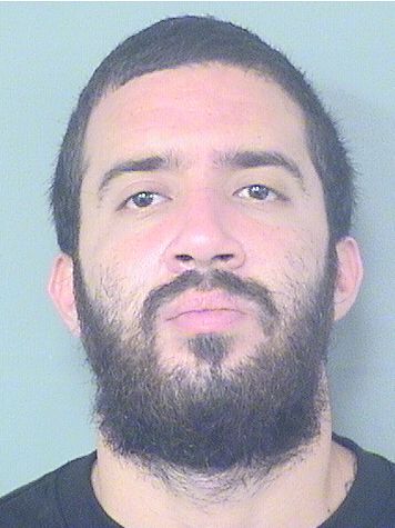 BRIAN BALLESTEROS Results from Palm Beach County Florida for  BRIAN BALLESTEROS