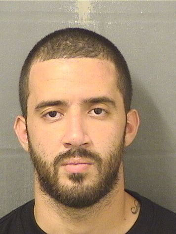  BRIAN BALLESTEROS Results from Palm Beach County Florida for  BRIAN BALLESTEROS