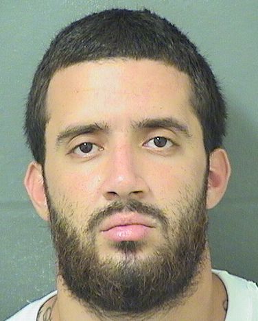  BRIAN ALEXANDER BALLESTEROS Results from Palm Beach County Florida for  BRIAN ALEXANDER BALLESTEROS