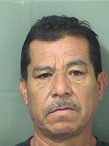  JUAN ISMAEL CELISPEREZ Resultados de la busqueda para Palm Beach County Florida para  JUAN ISMAEL CELISPEREZ